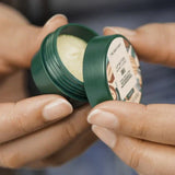 Shea Dudak Balmı